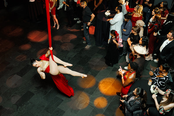 Silk Aerialist