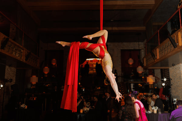 Silk Aerialist