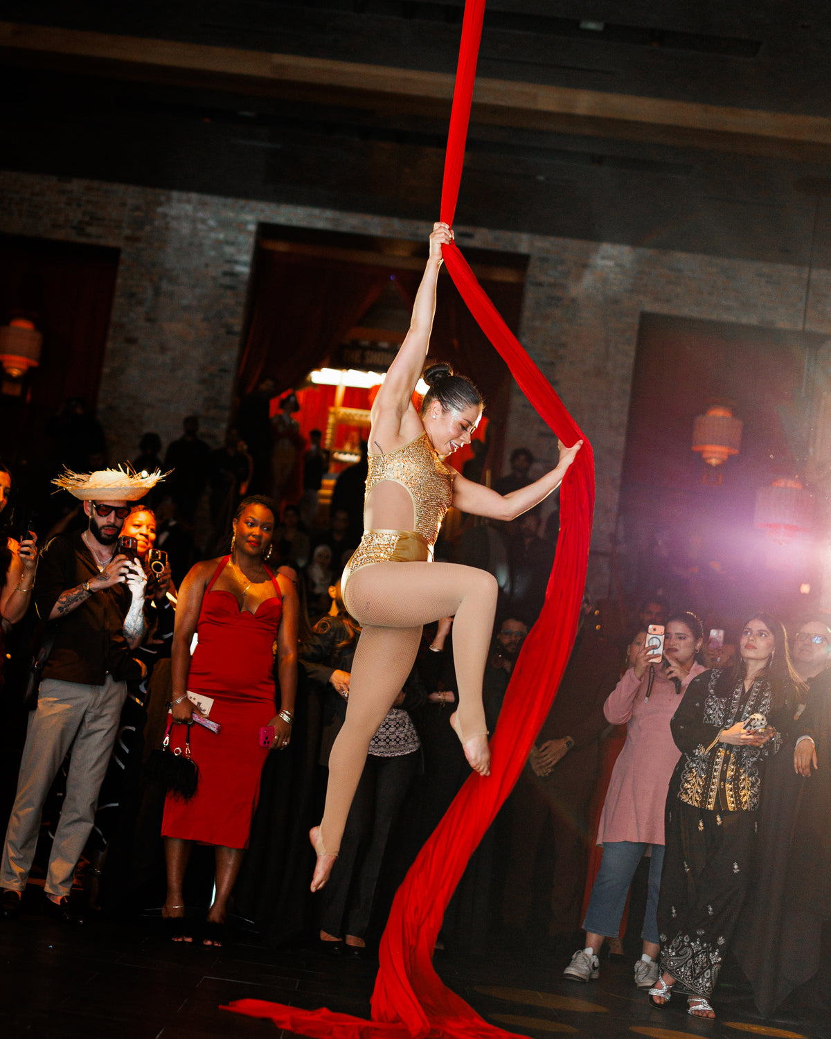 Silk Aerialist